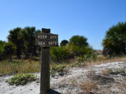 Pinellas County Sand Key Park