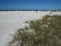 Pinellas County Sand Key Park