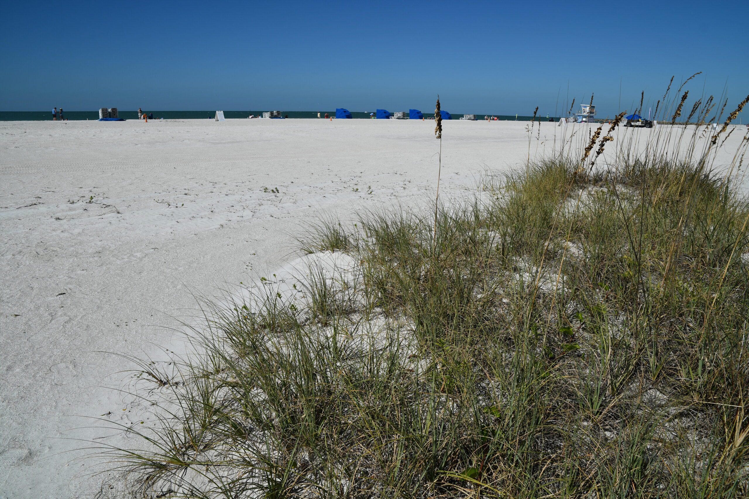 Sand Key Park  Visit St Petersburg Clearwater Florida