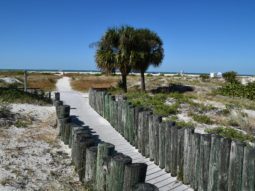 Pinellas County Sand Key Park