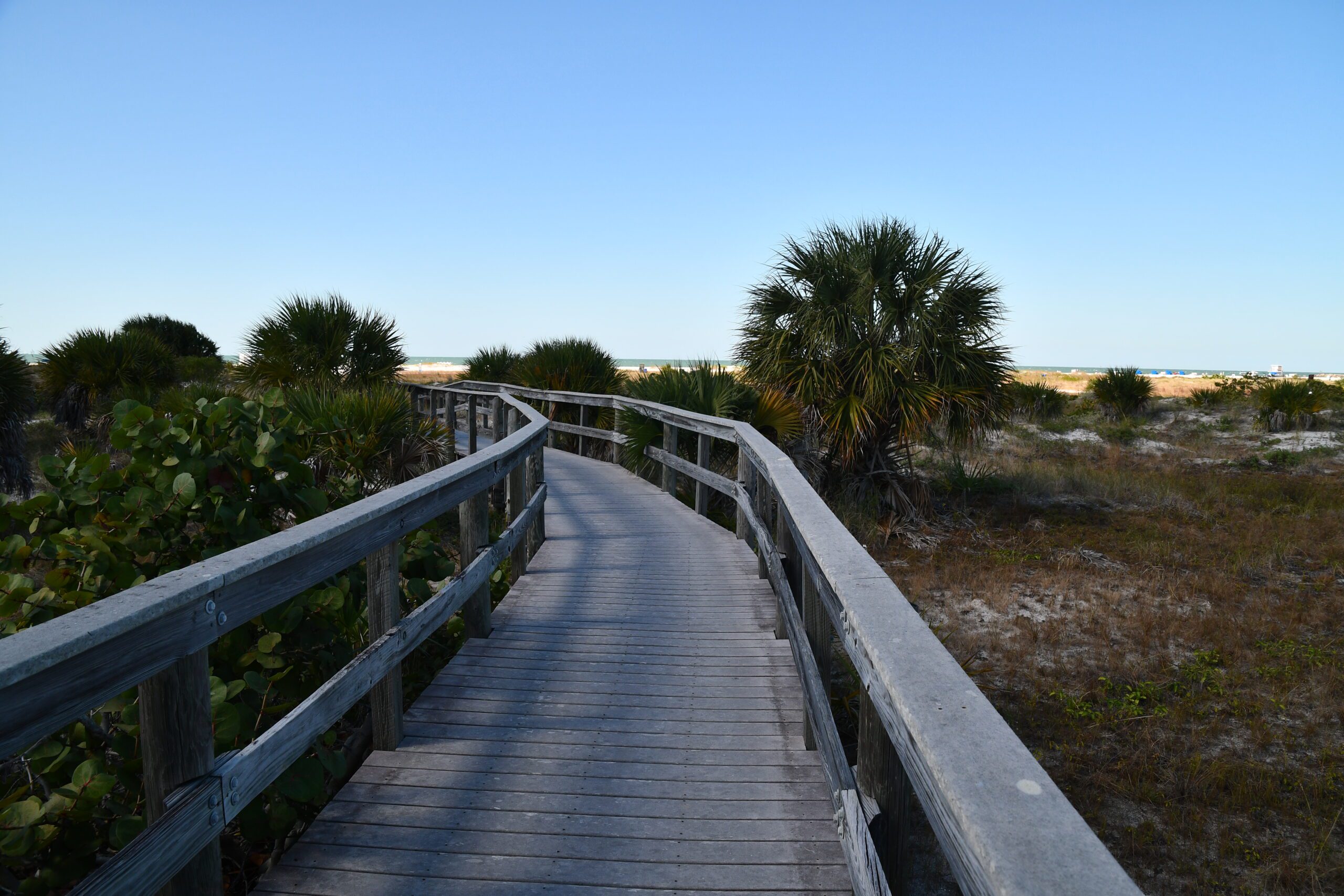 Boardwalk at Pinellas County Sand Key Park