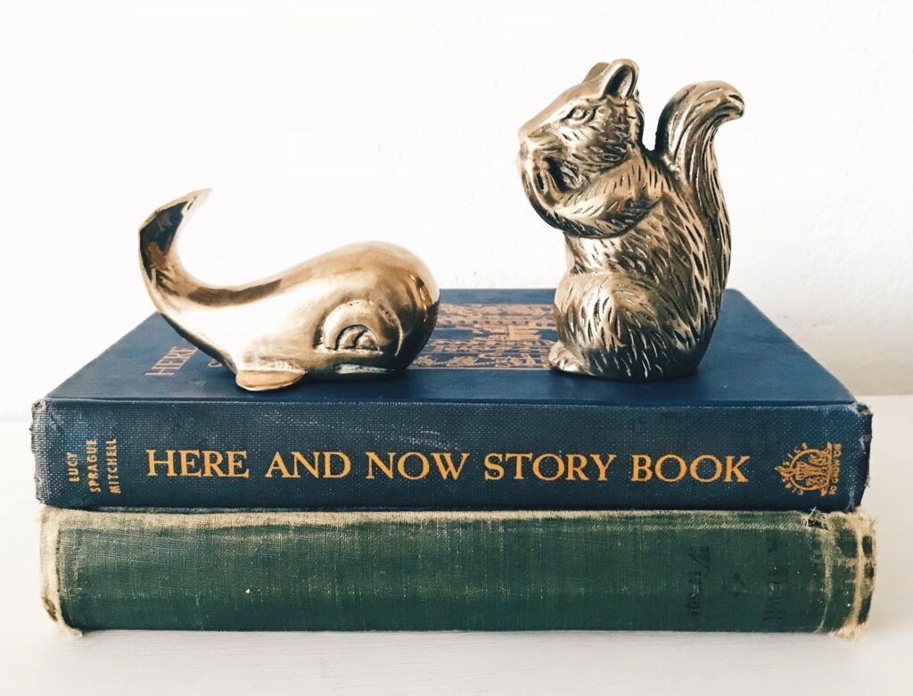 Secondhand Gift - Bookends and Books