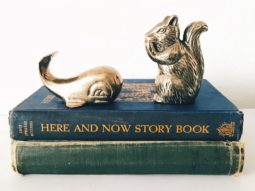 Secondhand Gift - Bookends and Books