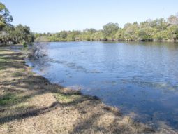 Pinellas County residents enjoying a beautiful day at Lake Seminole Park.