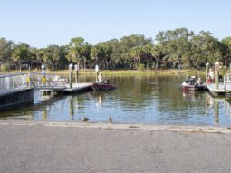 Pinellas County residents enjoying a beautiful day at Lake Seminole Park.