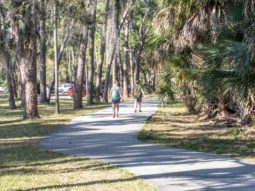 People enjoying a beautiful day at Pinellas County Lake Seminole Park