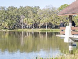 Pinellas County residents enjoying a beautiful day at Lake Seminole Park.