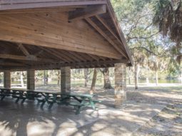 Pinellas County residents enjoying a beautiful day at Lake Seminole Park.