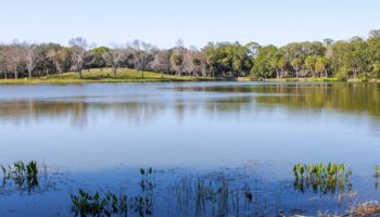 Pinellas County residents enjoying a beautiful day at Lake Seminole Park.