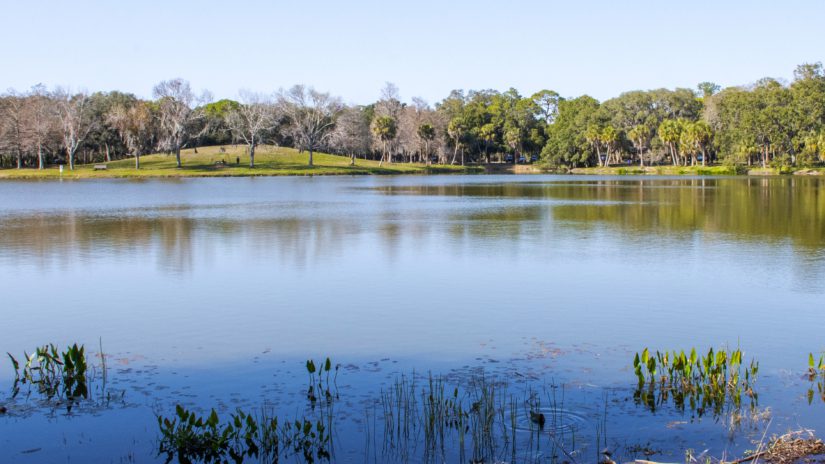 Pinellas County residents enjoying a beautiful day at Lake Seminole Park.