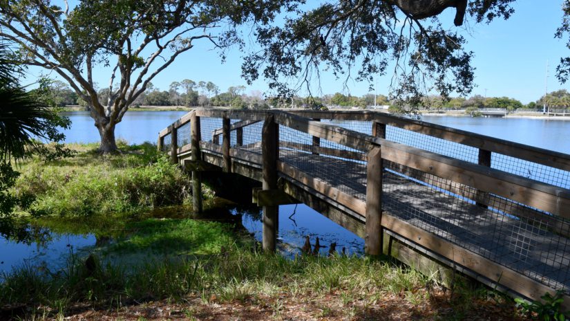 Pinellas County Taylor Park