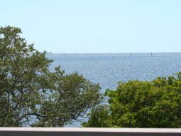 view from observation deck