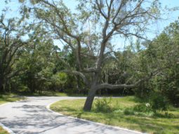 View from trail