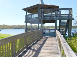 Observation Tower