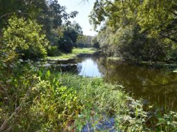 picture of a lake