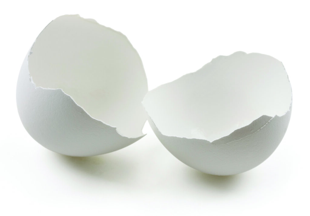 Broken egg shell isolated on white background with clipping path.