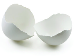 Broken egg shell isolated on white background with clipping path.