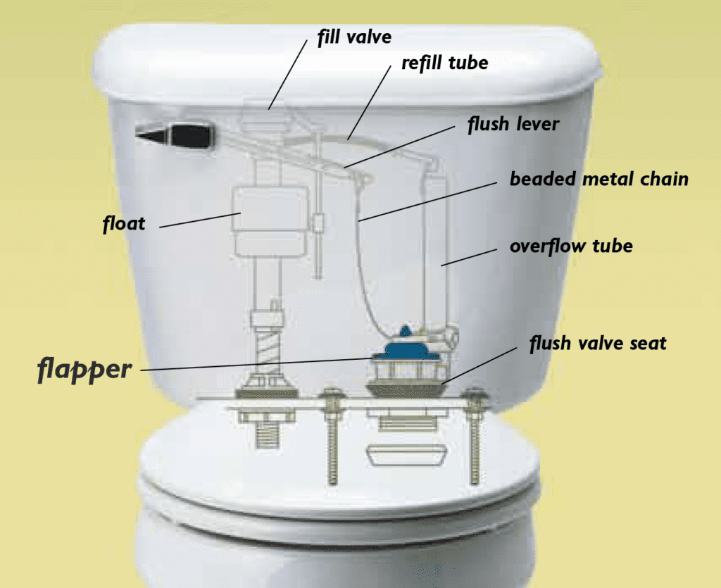 labelling the parts inside a toilet