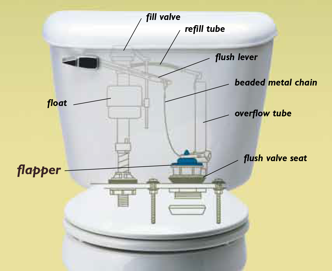 How To Fix Your Leaky Toilet Flapper Pinellas County