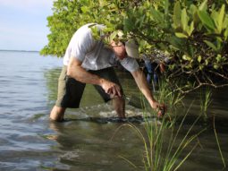 a volunteer works in knee-deep water during living shoreline installation day at Phillipe Park