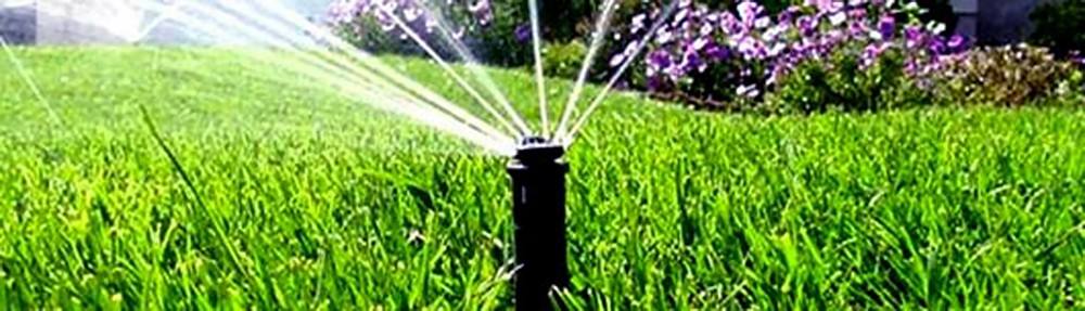 irrigation system watering green grass and purple flowers