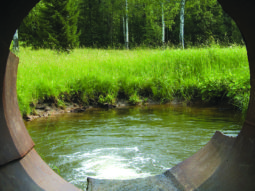 water pouring from a large sewer pipe into a pond on the edge of a forest