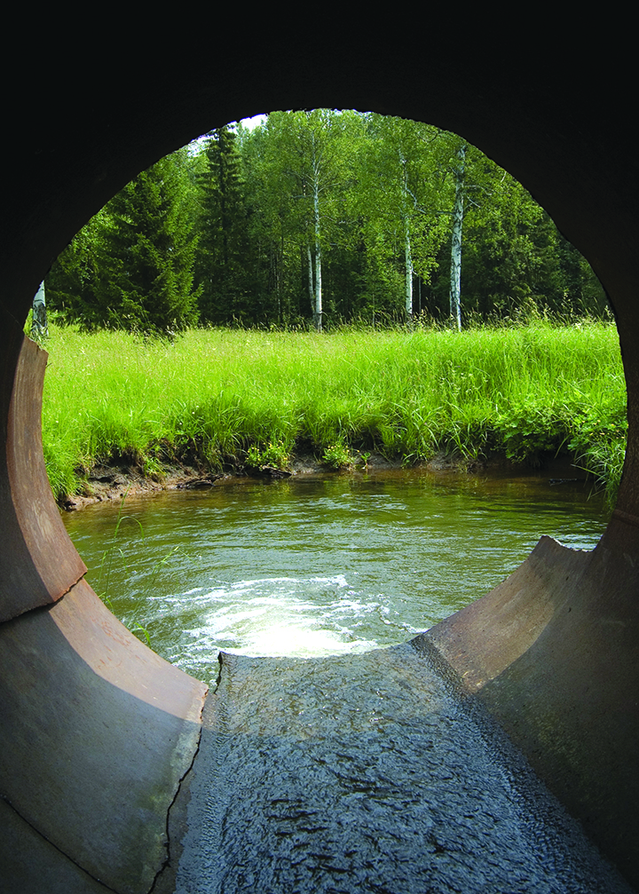 water pouring from a large sewer pipe into a pond on the edge of a forest