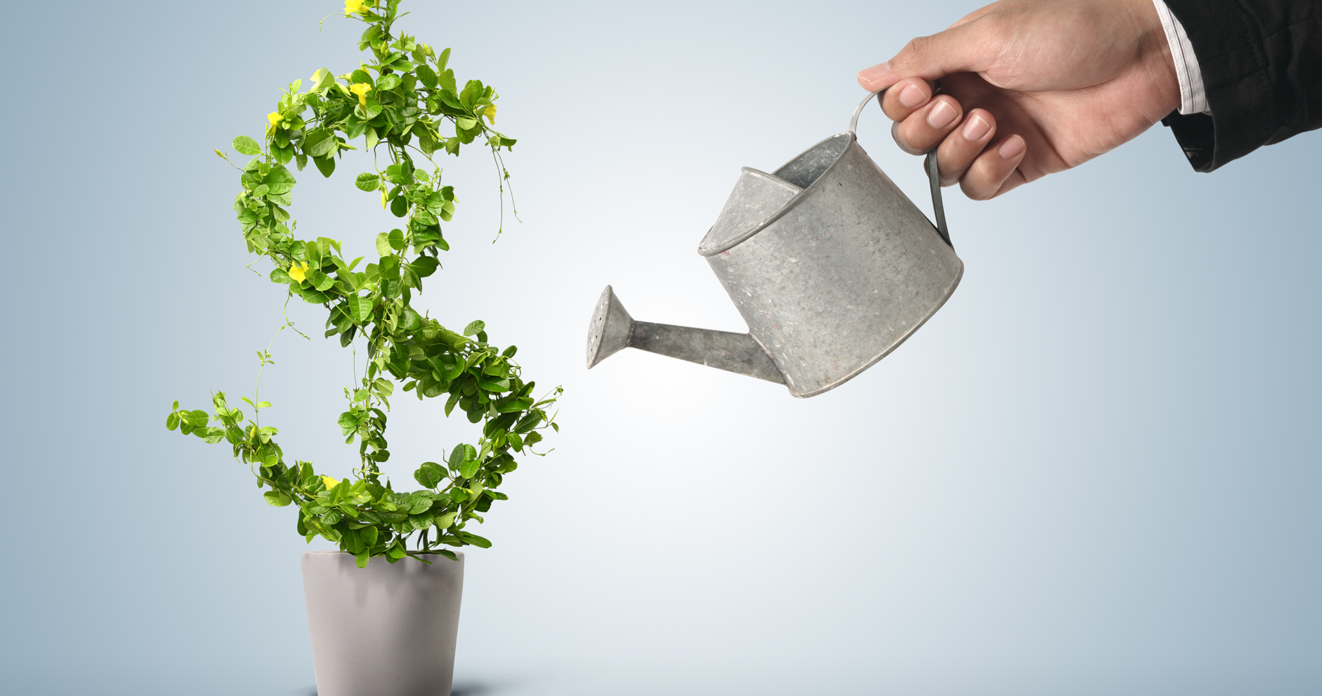 Businessman watering a pot with a plant shaped like a dollar sign