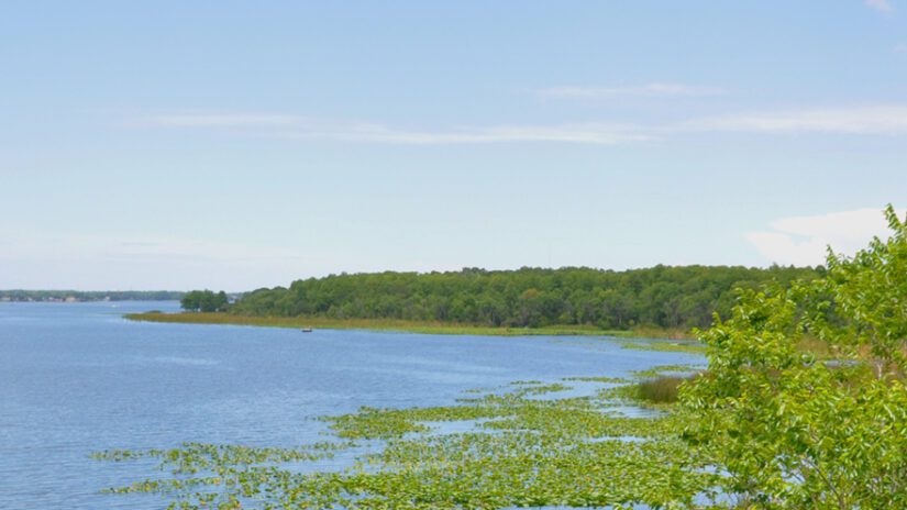 Lake Tarpon in Pinellas County Florida