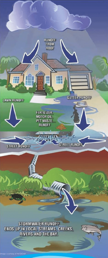 runoff from the roof, yard, gutter, driveway, and street contain harmful substances like fertilizer, motor oil or pet waste the flow through the storm drain and into local streams, creeks, rivers, and the bay.