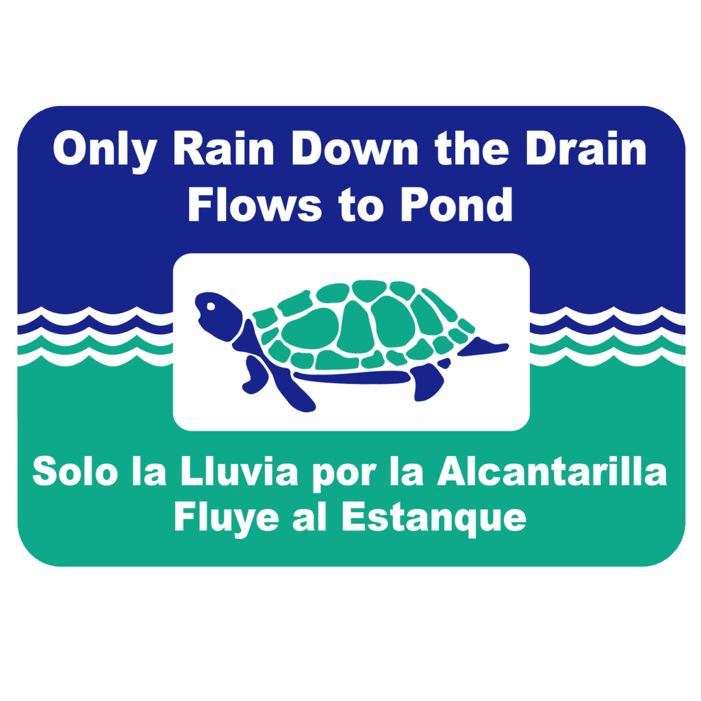 Only Rain Down the Drain, Flows to Pond with turtle and water