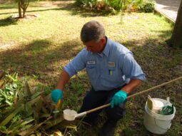 a Pinellas County employee checks mosquito traps