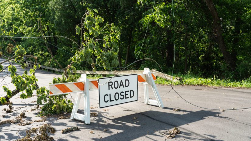 barricade with road closed sign in front of tree limbs across the road