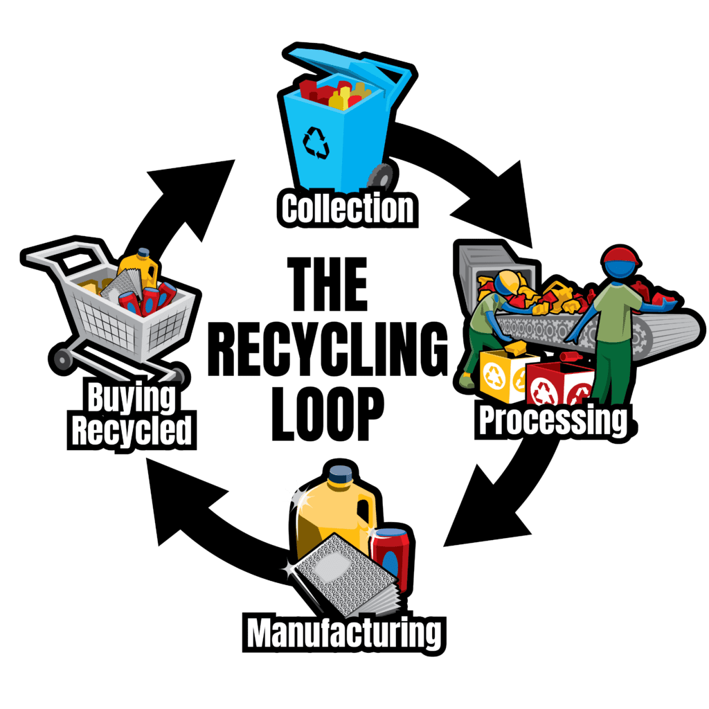 Graphic of the recycling loop including collection, processing, manufacturing and buying recycled.