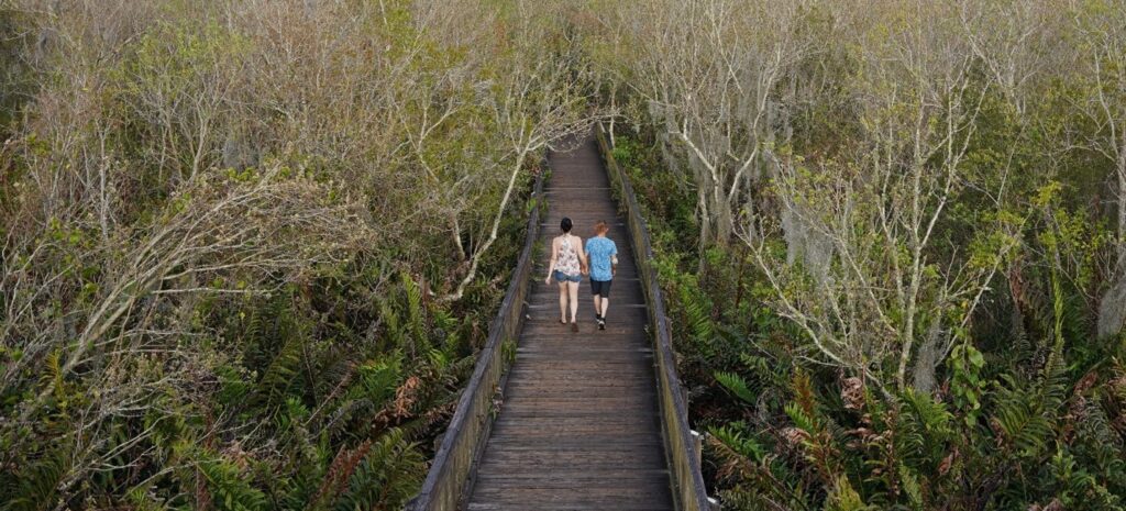 Two people walk on a boardwalk surrounded by trees at Sawgrass Lake Park in Saint Petersburg, Florida