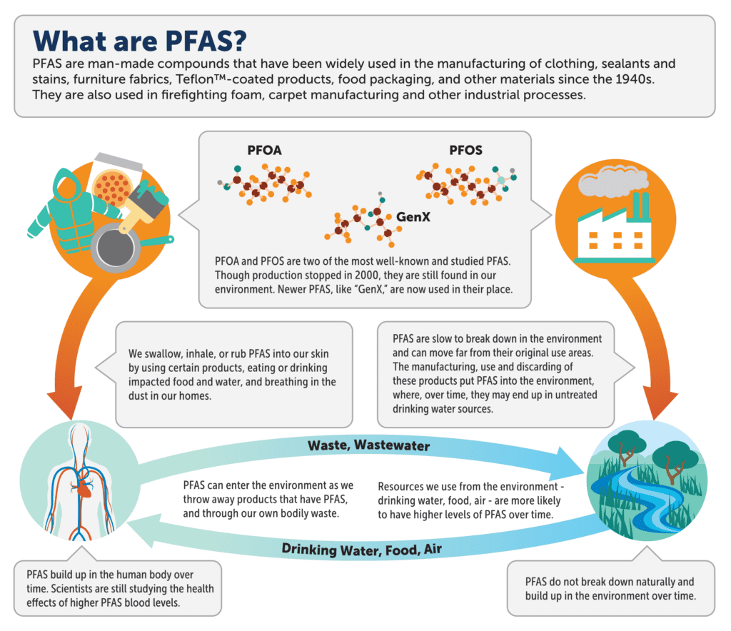 Chart depicting the cycles of PFAS.