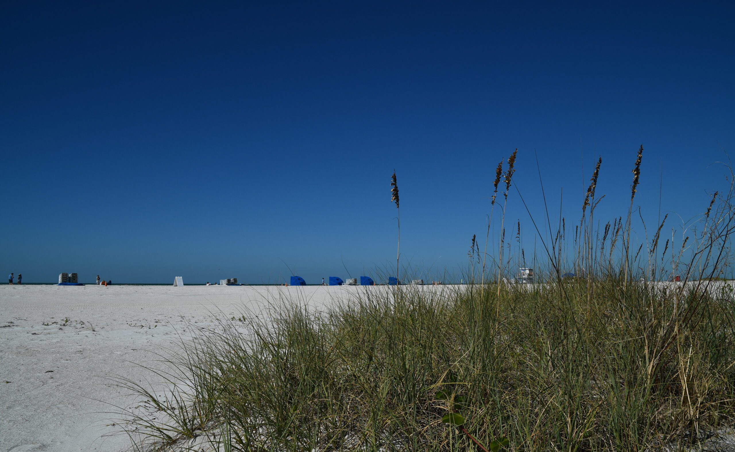 Pinellas County Sand Key Park