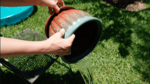Image of person dumping water from flower pot