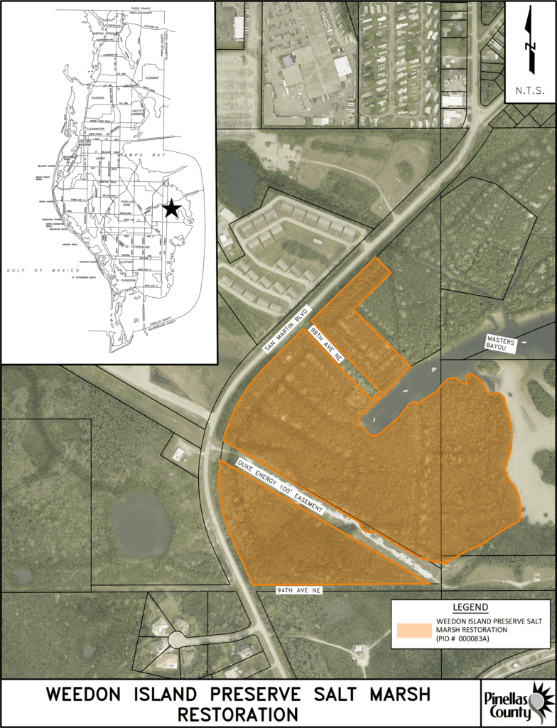 Weedon Island Preserve Salt Marsh Restoration Pinellas County