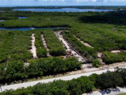 An aerial view of the salt marsh showing where dirt is being relocated to create a more natural habitat.