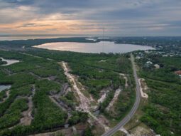 aerial view of the Weedon Island salt marsh after the restoration project