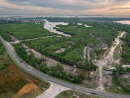 the Weedon Island salt marsh underwent a restoration project in 2026