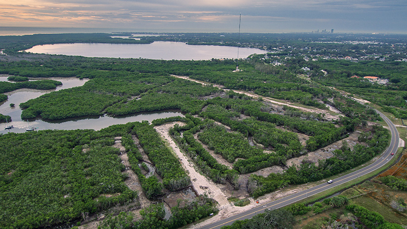 aerial view of the Weedon Island salt marsh after the restoration project