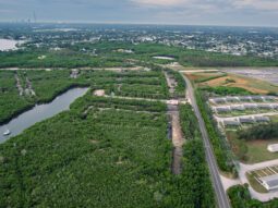 aerial view of the restoration results of the Weedon Island salt marsh