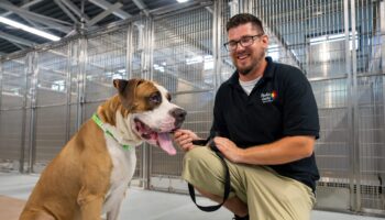 Man kneeling beside a brown and white dog inside kennel building at Pinellas County Animal Services