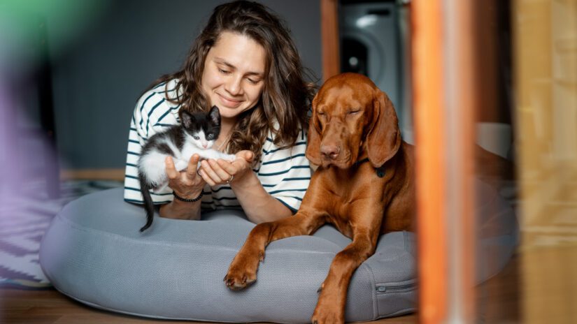 Portrait of a young woman with a Hungarian Pointer dog and a small kitten in her arms lying at home