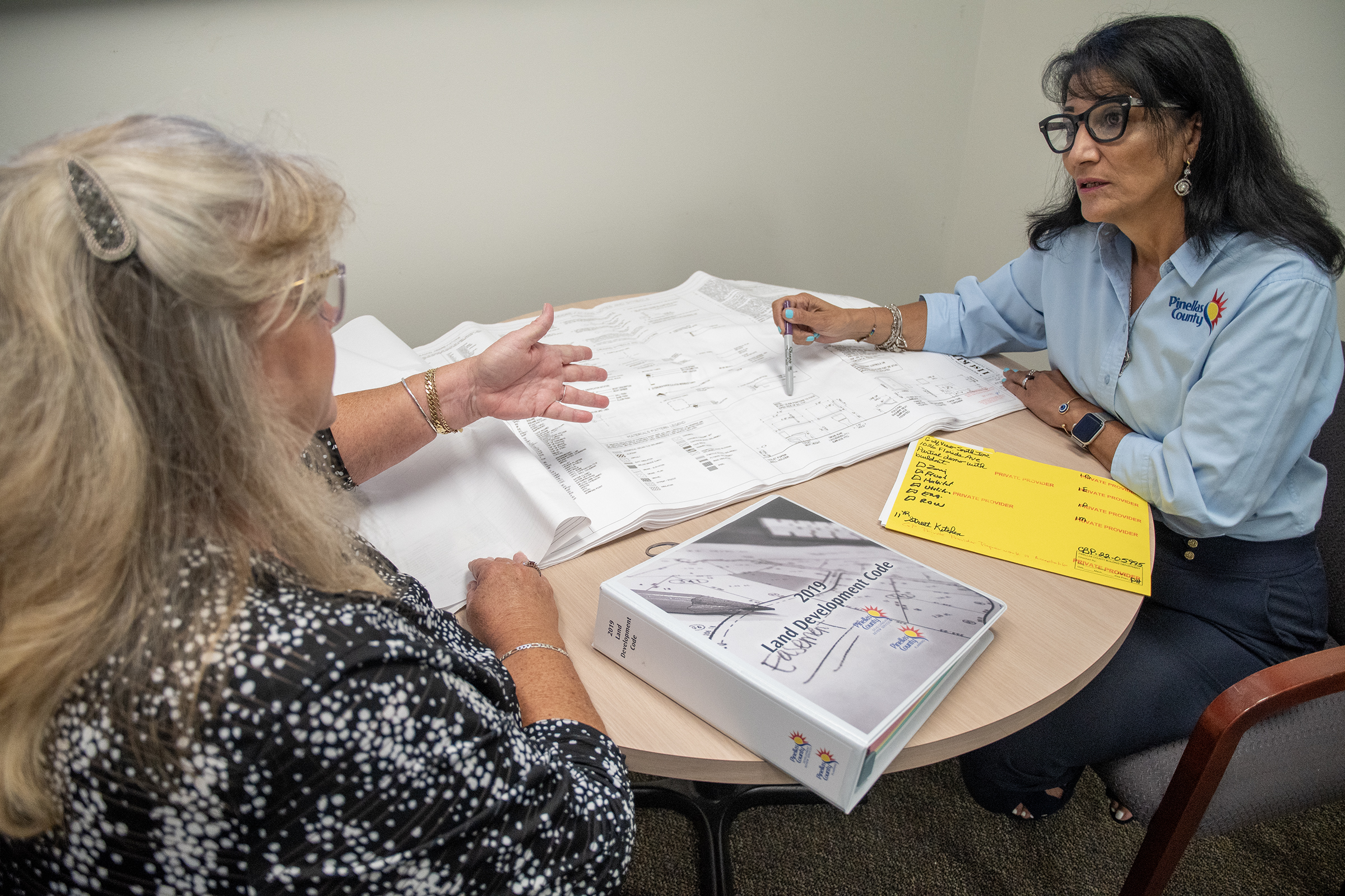 Project management plan review with BDRS staff