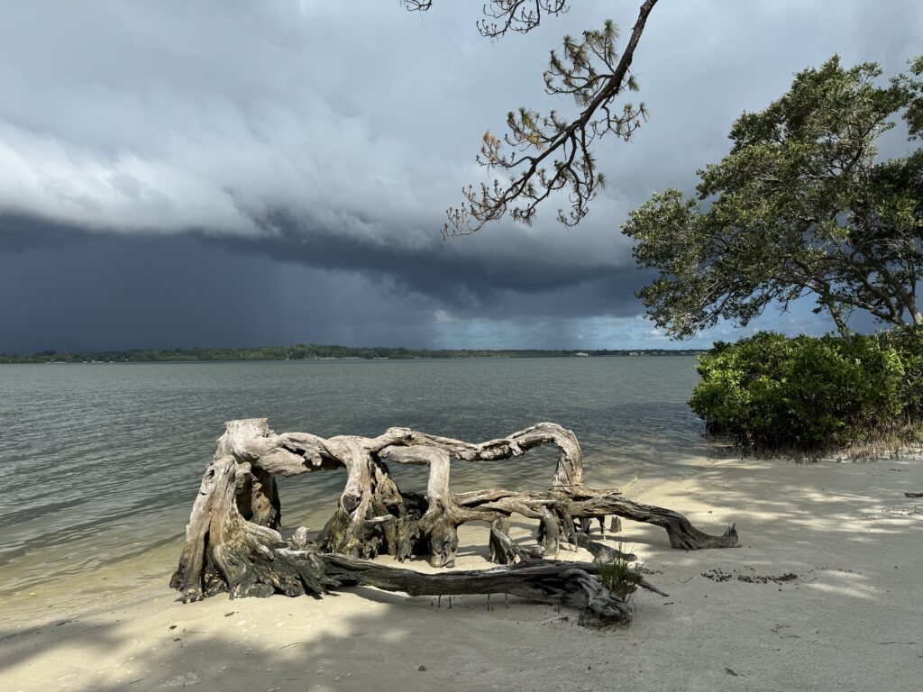 Photo of driftwood on a beach with rain and storm clouds in the background