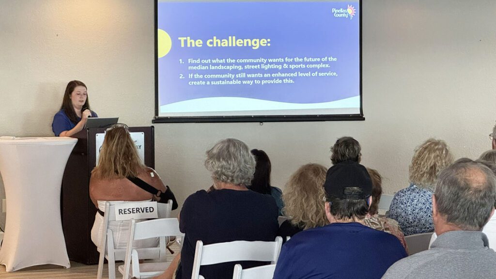 A photograph of Assistant to the County Administrator Audrey Ables addressing the meeting, and a slide that says "The Challenge: 1. Find out what the community wants for the future of the median landscaping, street lighting & sports complex. 
2. If the community still wants an enhanced level of service, create a sustainable way to provide this.
