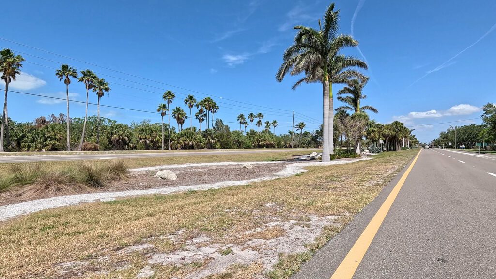 median with palm trees in Tierra Verde